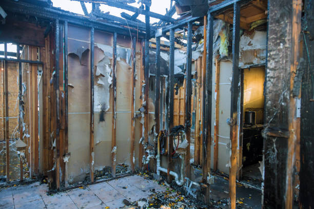 Professional Odor Removal technician working in Farley, KY